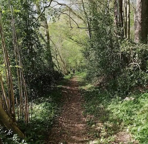 アパート Les Balcons Du Canet