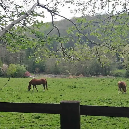 Les Balcons Du Canet *