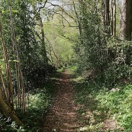 Apartamento Les Balcons Du Canet