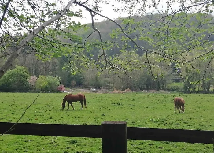 Les Balcons Du Canet *